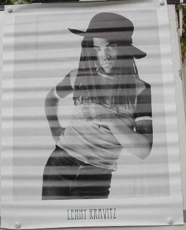 Kravitz Lenny Poster, 60 x 80 cm