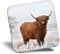 Destination Vinyl ltd Fridge Magnet - Winter Highland Cow Scotland Scottish 15508
