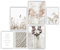ELAFI® Premium Poster 6er Set | Stilvolle Dekoration mit passendem Bilder Set als Wohnzimmer Deko | 3X DIN A3 & 3X DIN A4 ohne Bilderrahmen | Kunstdruck Blätter (Dry Beauty)
