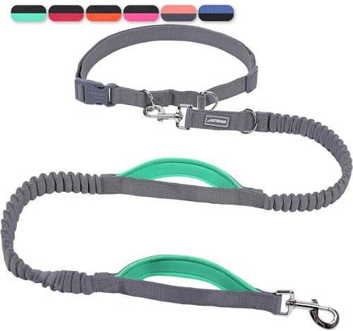 VIVAGLORY Joggingleine Hunde Bungee Hundeleine Joggen, M, Grau/Grün2 | Laufleine für Hunde Freihandleine mit Bauchgurt & Gepolstertem Griff für Joggen, Bungee Reflektierend Joggingleine Laufleine