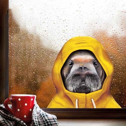 Fensterbild Tiere im Regenmantel mit Kapuze Herbst herbstlicher Fensteraufkleber Fensterdeko Regen, ca. A3 Format, Walross