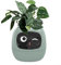 Maceta inteligente Maceta interactiva inteligente con sensores para el cuidado automático de plantas y pantalla virtual de mascotas Macetero inteligente Robot para decoración de interiores (verde)