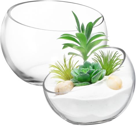 Toddmomy 2stücke Glas Blumentopf Rund Glasblumentopf Für Sukkulenten Kleine Glas Pflanzgefäße Übertopf Für Blumenarrangement Transparente Blumenvasen