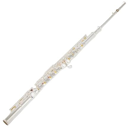 Professionelle Leistung Flöte Flöte 16/17 Löcher Versilbert Querflöte Obturator C-Taste Mit E-Taste Musikinstrument(700E)
