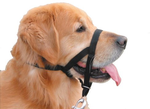 Nobby 79277 Easy Leader Geschirre, schwarz