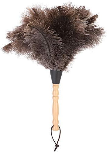 Plumero de Plumas de Avestruz, Plumero Avestruz Lavable con Mango de Madera, Lavable, Reutilizable, Plumero de Plumas para Hogar Limpieza (13.39 Pulgadas)
