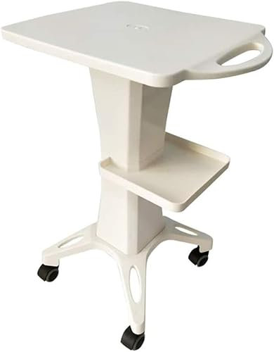 Carros móviles Grandes, carros de Mano de Almacenamiento de Cocina, Carro de salón de Belleza móvil con cajón, Carro rodante de SPA de PVC, Capacidad de 50 kg
