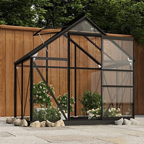 Rantry Glass Greenhouse Anthracite 155x103x191 cm Aluminium, Garden Shed Plant Nursery House, Conservatory Backyard Outdoor Garden Warm House Plants Grow House Greenhouses