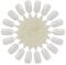 PANYTOW Natural White Nail Art Wheels Nail Art Tips Nail Polish Swatch Sticks for Display and Practise 10Pcs
