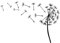 Flying Pusteblume wiederverwendbare Schablone A3 A4 A5 & größere Größen Shabby Chic Modern / F31 (PVC wiederverwendbare Schablone, A4 Größe – 210 x 297 mm, 21,1 x 29,7 cm)
