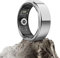 DekeFit Smart Ring (2025 Upgrade), Smartringe für Herren Damen, Gesundheitsring mit Herzfrequenz, SpO2, Schlaftracker, 100+ Sportmodi IP68 Wasserdicht, Android und iOS, Größe 13, Silber