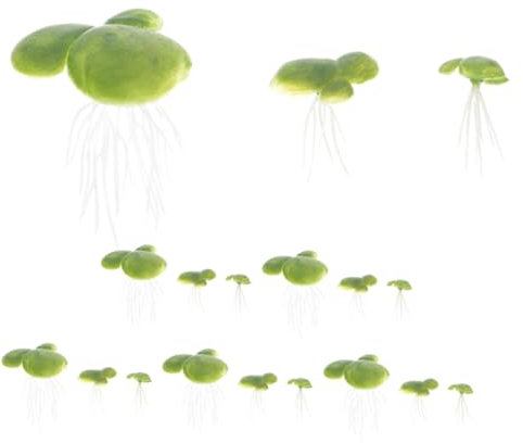 HOMOBABE 18pièces Plantes Aquatiques Flottantes Décorations Faux Lentilles Eau pour Aquariums Et Bassins Ornements Naturels