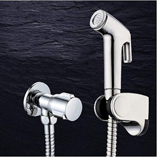 Double Mode Chrome Abs Sprayer Hand Held Toilet Bidet Spray Wc Set & Shower Hose (B)