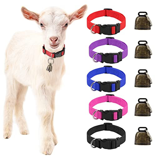 HYLYUN 5 Stück Ziegenhalsbänder mit Glocken, Kuhpferd, Schaf, Weidekupferglocken und verstellbarem Nylon-Halsband-Set, Anti-Verlust, Laute Bronze-Glocke für kleine Bauernhoftiere, Ziegenschäfe