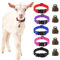 HYLYUN 5 Stück Ziegenhalsbänder mit Glocken, Kuhpferd, Schaf, Weidekupferglocken und verstellbarem Nylon-Halsband-Set, Anti-Verlust, Laute Bronze-Glocke für kleine Bauernhoftiere, Ziegenschäfe