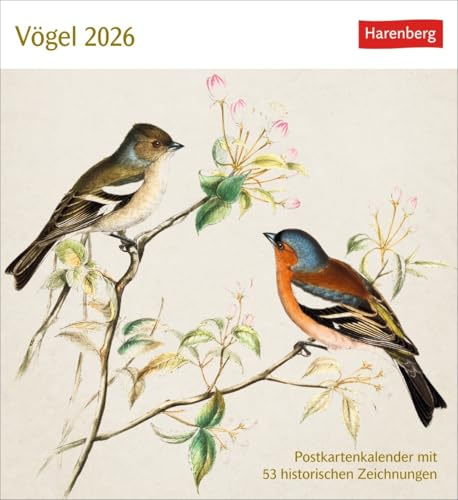 Vögel - Postkartenkalender 2026 - Harenberg-Verlag - Wochenkalender mit 53 historischen Zeichnungen-heraustrennbaren Postkarten - 16 cm x 17,5 cm