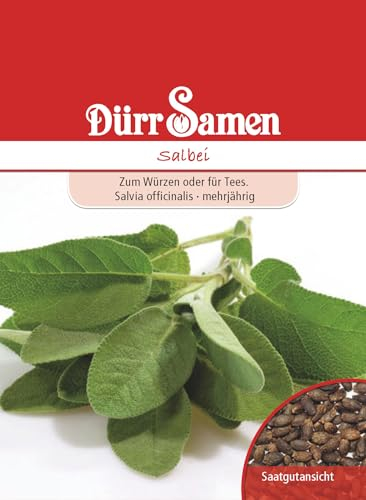 Salbei Samen Salbeisamen ca 100 Korn Heilkräuter Kräutersamen Heilpflanze Saatgut Balkon Garten Hochbeet Kübel Dürr Samen
