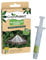 Green Protect Box Tree Moth Pheromone Refill – Effective Boxwood Moth Control and Prevention