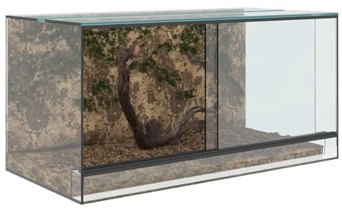 vidaXL Terrarium mit Speicher Transparent 80 x 40 x 40 cm Glas