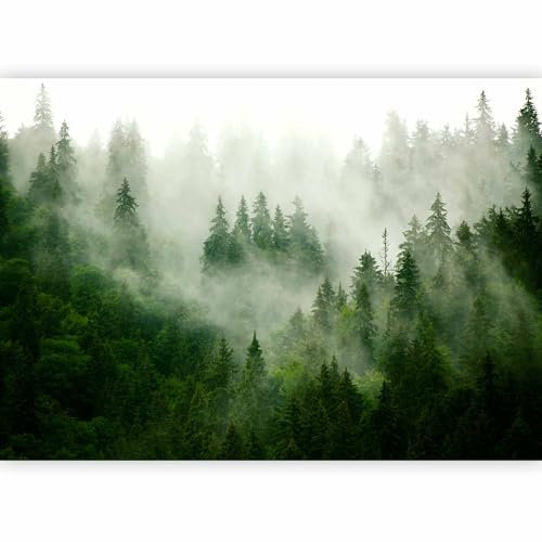 murando Photo Wallpaper Forest Fog 400x280 Centimetres Non-Woven Premium Art Print Fleece Wall Mural Decoration Poster Picture Design Modern Nature Landscape Scandinavian c-B-0533-a-b
