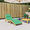 vidaXL Coussin de Chaise Longue, Coussin de Bain de Soleil, Coussins de Transat, Coussin pour Chaise de Jardin Patio Extérieur Arrière-Cour, Vert 186x58x4 cm Tissu Oxford