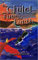 The Child of Fire and Earth: Fantasy Adventure for 8-12 years