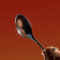 The Spoon (LP) [VINYL]