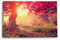 Tableau mural 120 x 80 cm forêt automne feuilles rouges nature arbre chêne soleil