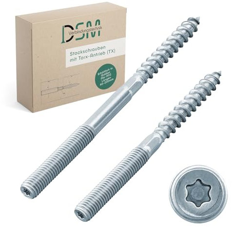 DSM - Lot de 10 vis à double filetage M12 x 100 mm avec entraînement Torx (TX 30) galvanisées - M6 à M12 - Vis à double filetage pour colliers de serrage SW 10 mm - Raccords en bois - Matériel de