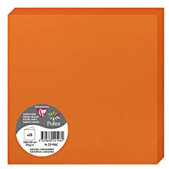 Clairefontaine 22196C Packung (mit 25 Doppelkarten Pollen, Gefaltet, 160 x 160mm) 210g, kapuzinenrot