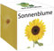 Extragreen Sonnenblume Cubes von Feelgreen Holzwürfel