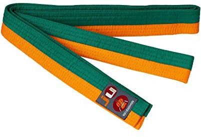 Ju-Sports Budogürtel - orange/grün, Baumwolle I Kampfsport Gürtel Für Budo-Sportarten, Judo, Karate uvm. I Ca. 4 cm breiter Martial Arts Gürtel I 300 cm