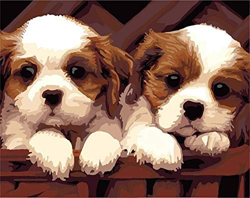 YEESAM ART DIY Peinture Numéro Adulte Enfant - Deux Chiots, Chien Animaux 40x50 cm Peinture par Numero, Paint by Numbers Cadeaux de noël