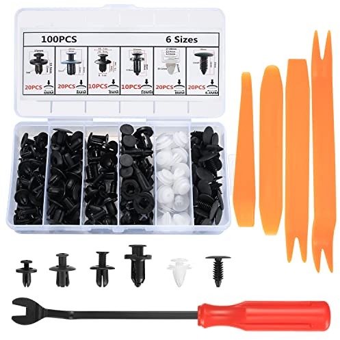 Aoyfuwell100 Stück Auto Befestigung Clips, Universal Türverkleidung Klammern, Autokarosserie Zierclips, Kfz Zierclips, Kunststoff Nylon Niet Zierklemmen Clips mit Paneelentfernungswerkzeug