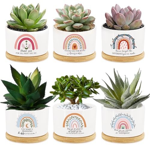 6 Pcs Thank You Teacher Gift Rainbow Succulent Pots Mini Ceramic Plant Pots with Bamboo Tray Flower Pots Planters for Teacher Colleague Employee Nurse Friend Appreciation Plants Not Included