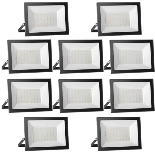 Royana 10PCS 100W Focos LED Exterior 6000K Blanco Frío Proyector IP65 Impermeable Luz de Seguridad para Iluminación Jardín Garaje Porche Balcón Césped