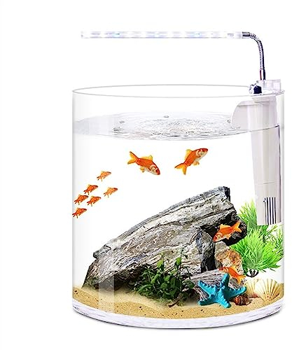 pecera Transparente para Acuario, Acuario ecológico de Escritorio Recto, pequeño, Bonito, Transparente, Redondo, de Cristal, for el hogar, la Sala de Estar, la Oficina, Filtro de luz LED, pecera(M)