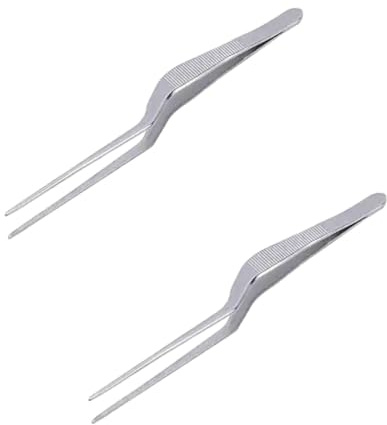 2 Piece Professional Spiral Design Stainless Steel Lighting Ear Tweezers Ear Clip Dug Earwax Tools