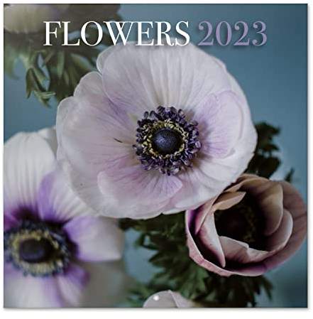 Grupo Erik Wandkalender 2023, Blumen Wandkalender, Kalender zum Aufhängen, Kalender 2023 Wandkalender, Familienkalender 2023, offizielle Lizenz, FSC zertifiziert