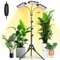LORDEM Plant Grow Light with Stand, Full Spectrum LED Growing Lamp, Tri-Head with 3H/6H/12H Timer, 6 Dimmable Levels, 3 Lighting Modes, 15-63 Adjustable Tripod