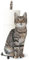 Decorative Metal Cat Toilet Paper Holder - Shaped Like a Cat, Black