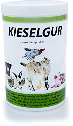 Kieselgur - reines Meeresprodukt aus fossilem Plakton - mechanische Wirkung - 100% natürlich (500g)