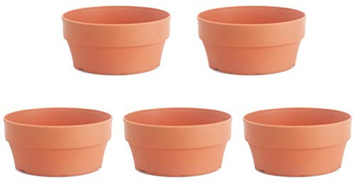 5pcs Imitation Terracotta Shallow for Succulent Cactus Plant Containers Indoor Garden Bonsai Pots Planter Flower Container 16cm