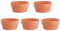 5pcs Imitation Terracotta Shallow for Succulent Cactus Plant Containers Indoor Garden Bonsai Pots Planter Flower Container 16cm