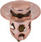 Audinpu Bouchon Universel de Fuite de tête d'eau de lavabo, Filtre de vidange d'évier de Noyau intérieur en Laiton, Bouchon de Fuite pressé par Noyau rebondissant(Rose Gold)