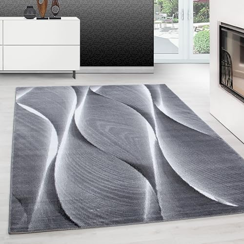 Teppium Moderner Kurzflor Teppich Wohnzimmer 250x350 (240 x 340 cm) Schwarz - Teppich Waschbar, Ombre Design, Pflegeleicht und Weich - Ideal für Schlafzimmer, Esszimer und als Küchenteppich
