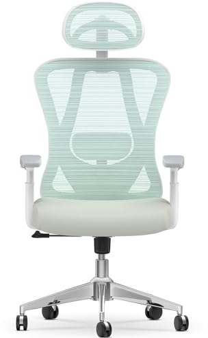 naspaluro Bürostuhl Ergonomisch Schreibtischstuhl, Hoher Rücken Ergonomischer Stuhl mit Verstellbarer Lendenwirbelstütze, 3D-Kopfstütze & Armlehnen, Höhenverstellbarer Computerstuhl, Grau+Grün