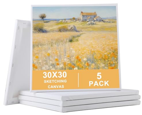 Toile Peinture (Lot de 5) – Toiles à Peindre Vierges 30x30 cm avec Cadre à Clés, 100% Coton, adaptées pour Peintures Acryliques, Débutants, Étudiants et Artistes