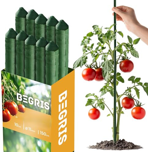 BEGRIS® Pflanzen stütze, Pfahl, Tomatenpflanze Unterstützung 150cm/11mm 10 Stück STAL, Plant Support Stick Langlebige Stahlkonstruktion, Rankhilfe Pflanzen