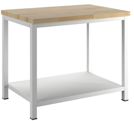 RAU | Werkbank | Gestellbauweise | 1 Ablageboden Stahlblech | Tiefe 700 mm | Breite 1000 mm